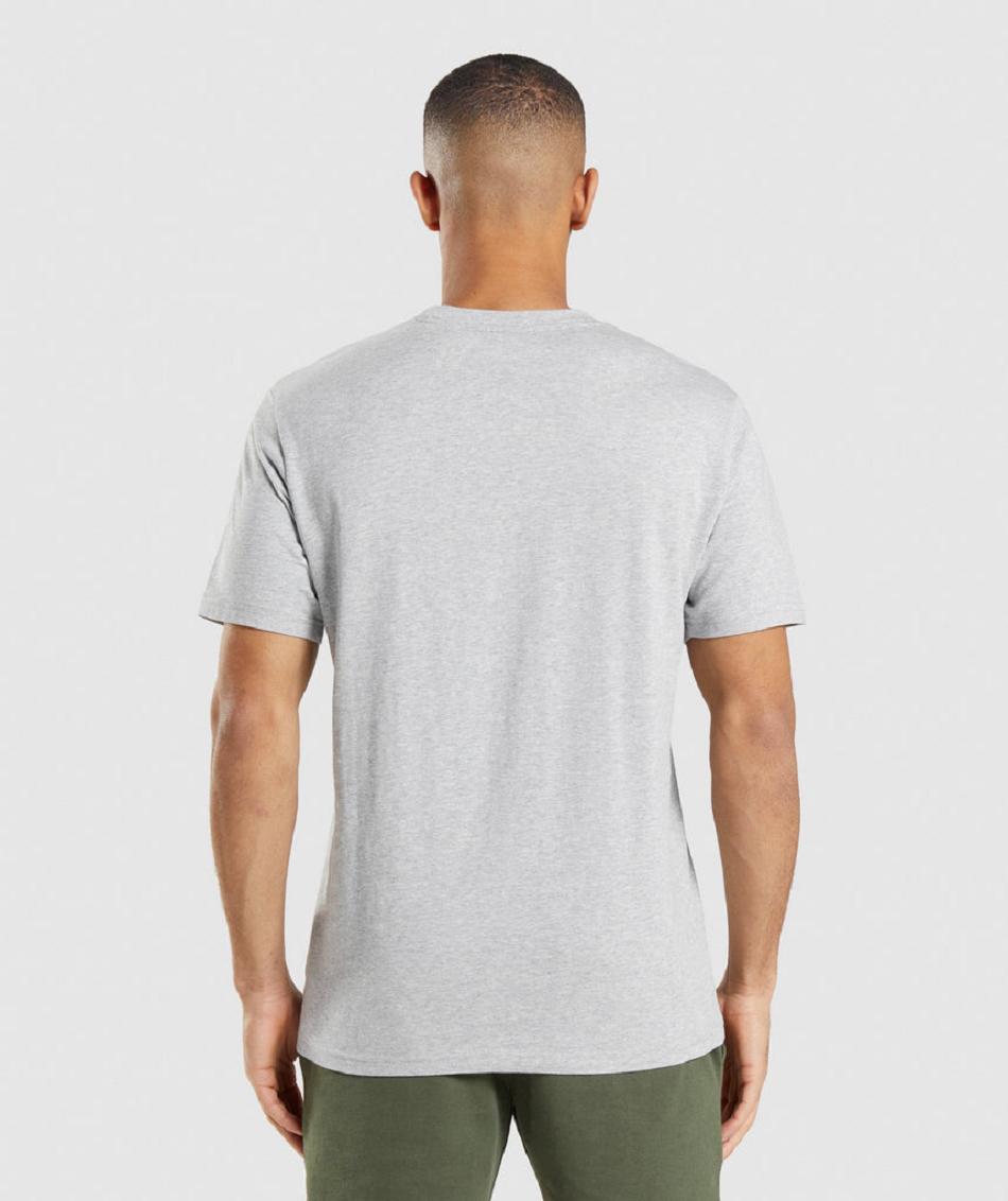 T Shirts Gymshark Crest Hombre Gris Claro | CO 3267HAP